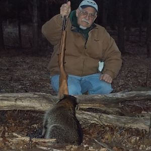 Hunt Raccoon in the USA