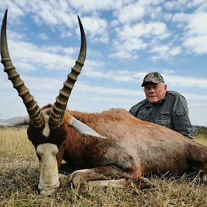 Blesbok Hunting South Africa