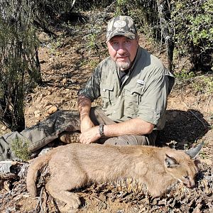 Hunting Caracal in South Africa