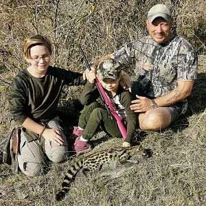 South Africa Hunting Genet Cat