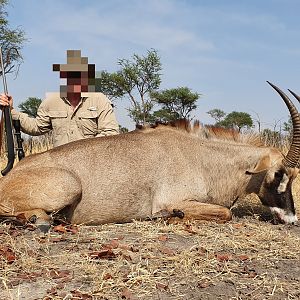 Hunting Roan in Namibia