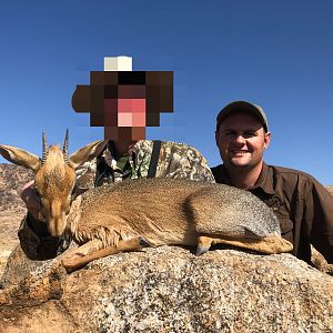 Damara Dik-dik Hunting Namibia