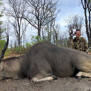 Namibia Hunting Eland