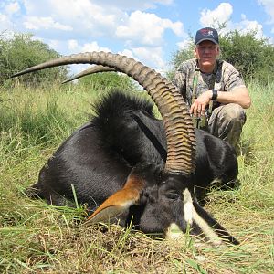 South Africa Hunting Sable