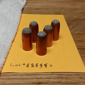 Big Bore Hunting Bullets