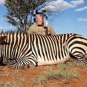 South Africa Hunt Hartmann's Mountain Zebra