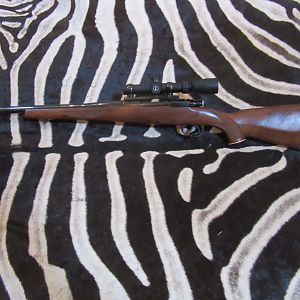 Interarms Mark X 375 Rifle
