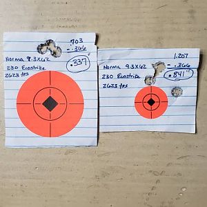 230 grain Norma Ecostrike Range Shots