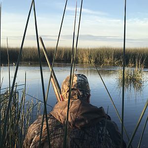 Hunt Duck in Argentina