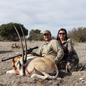 Hunt Scimitar Oryx in Texas USA