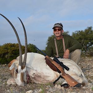 Scimitar Oryx Hunting Texas USA