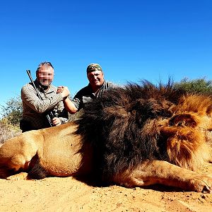 Hunting Lion in South Africa