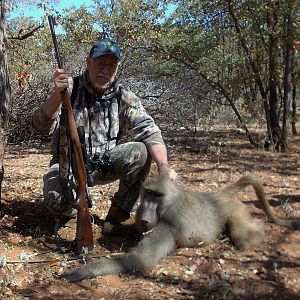 Hunt Baboon in South Africa