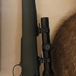 AHR .416 Ruger Rifle