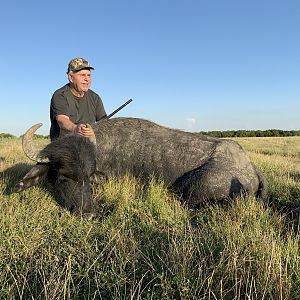 Argentina Hunt Water Buffalo