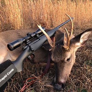 USA Hunting Deer