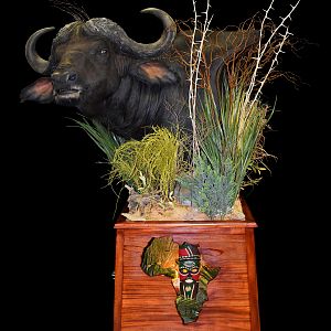 Cape Buffalo Pedestal Mount Taxidermy