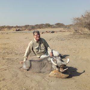 Hunting Warthog in Namibia