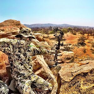 Bow Hunt in South Africa