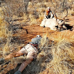 Hunting Kudu in South Africa