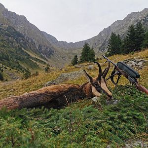 Chamois Hunting in Romania