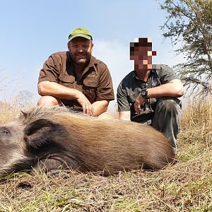 Hunting Bushpig in Tanzania