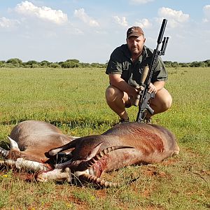 Cull Hunt Blesbok in South Africa