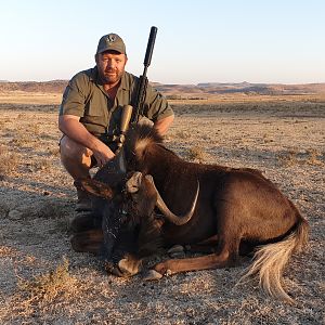 Cull Hunt Black Wildebeest in South Africa
