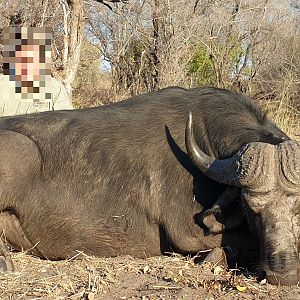 Cape Buffalo Non-exportable Hunt