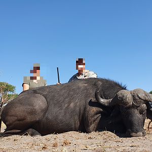 Non-exportable Hunting Buffalo