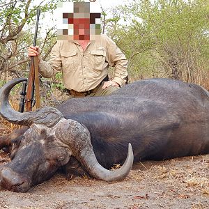 Non-exportable Hunt Cape Buffalo