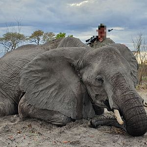 Hunt Non-exportable Elephant