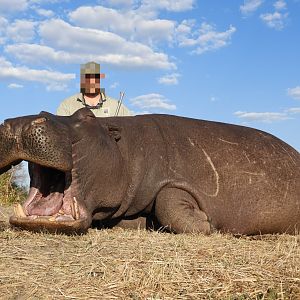 Hippo Non-exportable Hunting