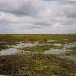 Hunting area Kilombero Tanzania