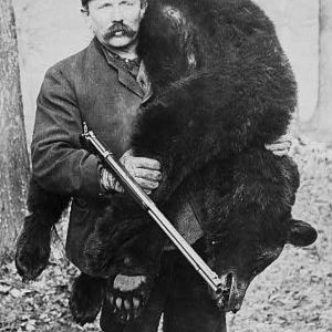 Hunting Bear in USA