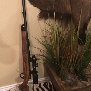 Kimber Caprivi 458 Lott Rifle