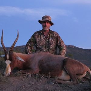 South Africa Hunt Blesbok