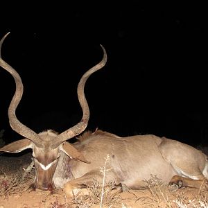 Hunt Kudu in South Africa