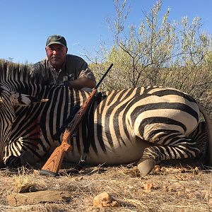 Hartmann's Mountain Zebra Hunting Namibia