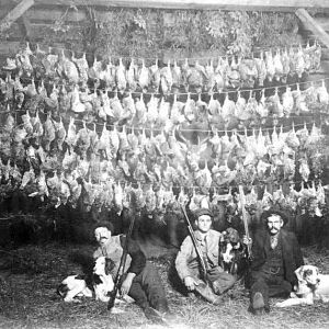 American hunters after a grouse shoot in Michigan 1917