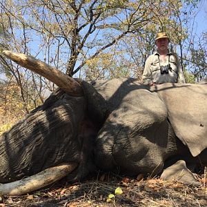 Zimbabwe Hunt Elephant