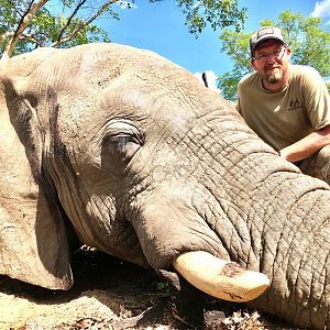 Elephant Hunt Zimbabwe