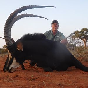 Hunt Sable Antelope in South Africa