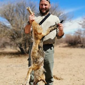 Jackal Hunting Botswana