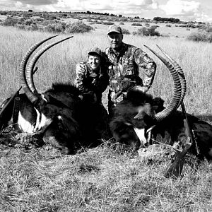 Hunting Sable South Africa