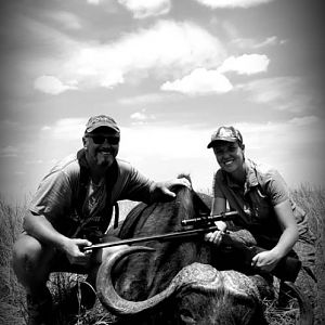 South Africa Hunt Cape Buffalo