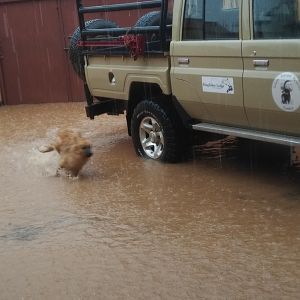 Rain Lusaka Zambia