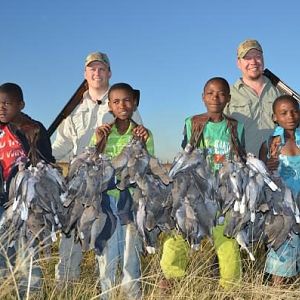 African Turtle Doves South Africa