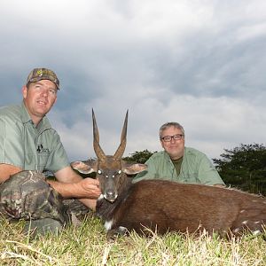 Cape Bushbuck Hunting Eastern Cape South Africa