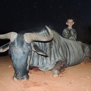 Blue Wildebeest Hunting South Africa